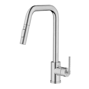 Aiden - Chrome Single-Handle Pull Down Kitchen Faucets