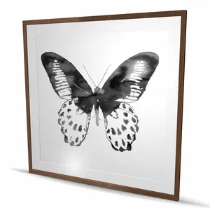 Begin Home Decor C1FM4848GNQONU 48 x 48 in. Black Butterfly - Monochrome Framed Print Wall Art - Bedroom Decor