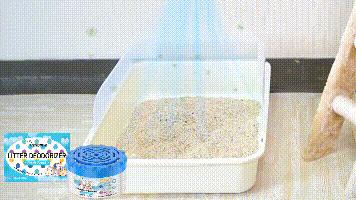 Cat litter odor remover canister - Cat feces and urine clean up of odors, fresh and pleasant fragrance, mild ingredients, toilet odor remover gel