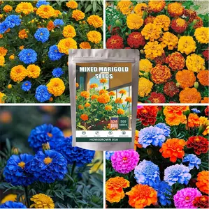 500 Mixed Marigold Seeds for Planting - African Marigold Seeds French Marigold Non-GMO Heirloom Garden Flower to Plant Open Pollinated Annual Flowers
