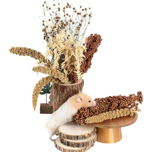 Ear of Grain Flower& Bedding Mate Habitat Decor, Adding Fun Hamster Accessories for Hamsters Gerbils Lemming