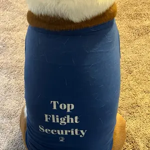 Top Flight Security (Of The World, Craig) T-Shirt