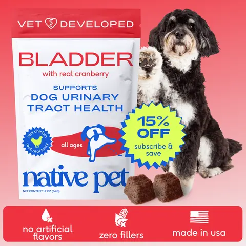 Native Pet Dog UTI Treatment - Cranberry Supplement for Dogs Bladder Control & Kidney Support - Prevent Urinary Tract Infection and Urinary Incontinence - Made with Real Cranberry Extract Chews Probiotics
