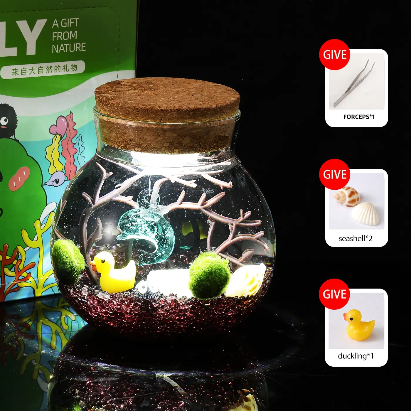 Alioth - Lively Big Dipper Bottle Terrarium, Cute Marimo Micro-Landscape, Self-Sustaining Crystal Garden & Aquatic Pet Plant Decor for Desk & Focus (Includes 2 Live Marimo Pets)