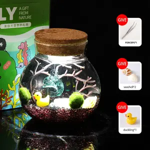 Alioth - Lively Big Dipper Bottle Terrarium, Cute Marimo Micro-Landscape, Self-Sustaining Crystal Garden & Aquatic Pet Plant Decor for Desk & Focus (Includes 2 Live Marimo Pets)