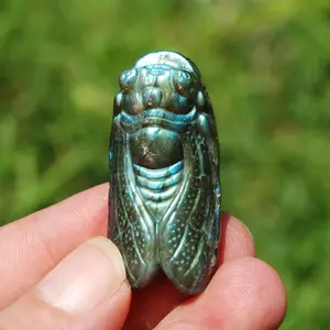1.75in Labradorite Carved Crystal Cicada, Flashy Crystal Insect Carving f6