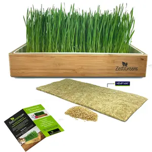 Self-Watering Cat Grass Kit. Hands Down The Easiest Way to Grow Cat Grass. Everything Included to Grow a Large Crop of Delicious Cat Grass.