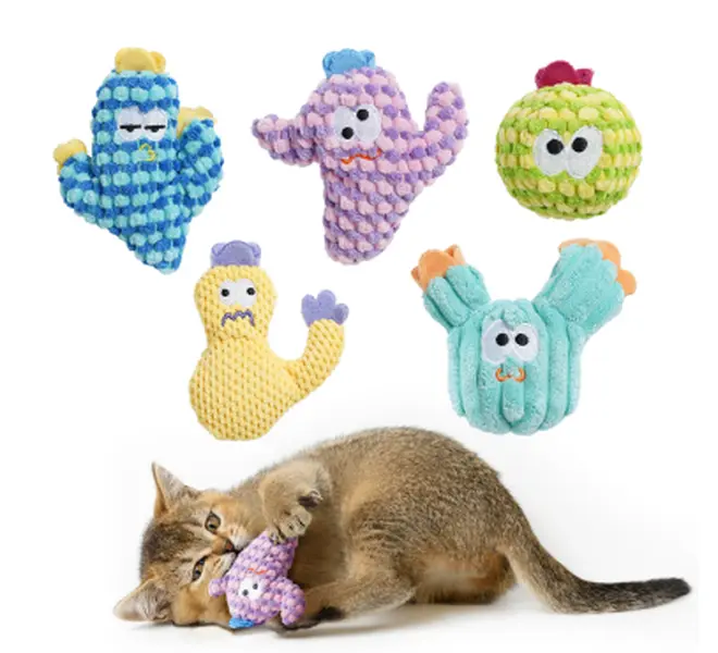 Pawsible 5 Pack Colorful Cactus Cat Toy Set, 100% Premium Cat Herb Filling, Natural Stimulation for Cats, Soft Teething Toys, Perfect Kitten Toys