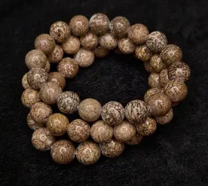 Rare AAA Grade Dinosaur Bone Fossil Stone 11mm bead bracelet