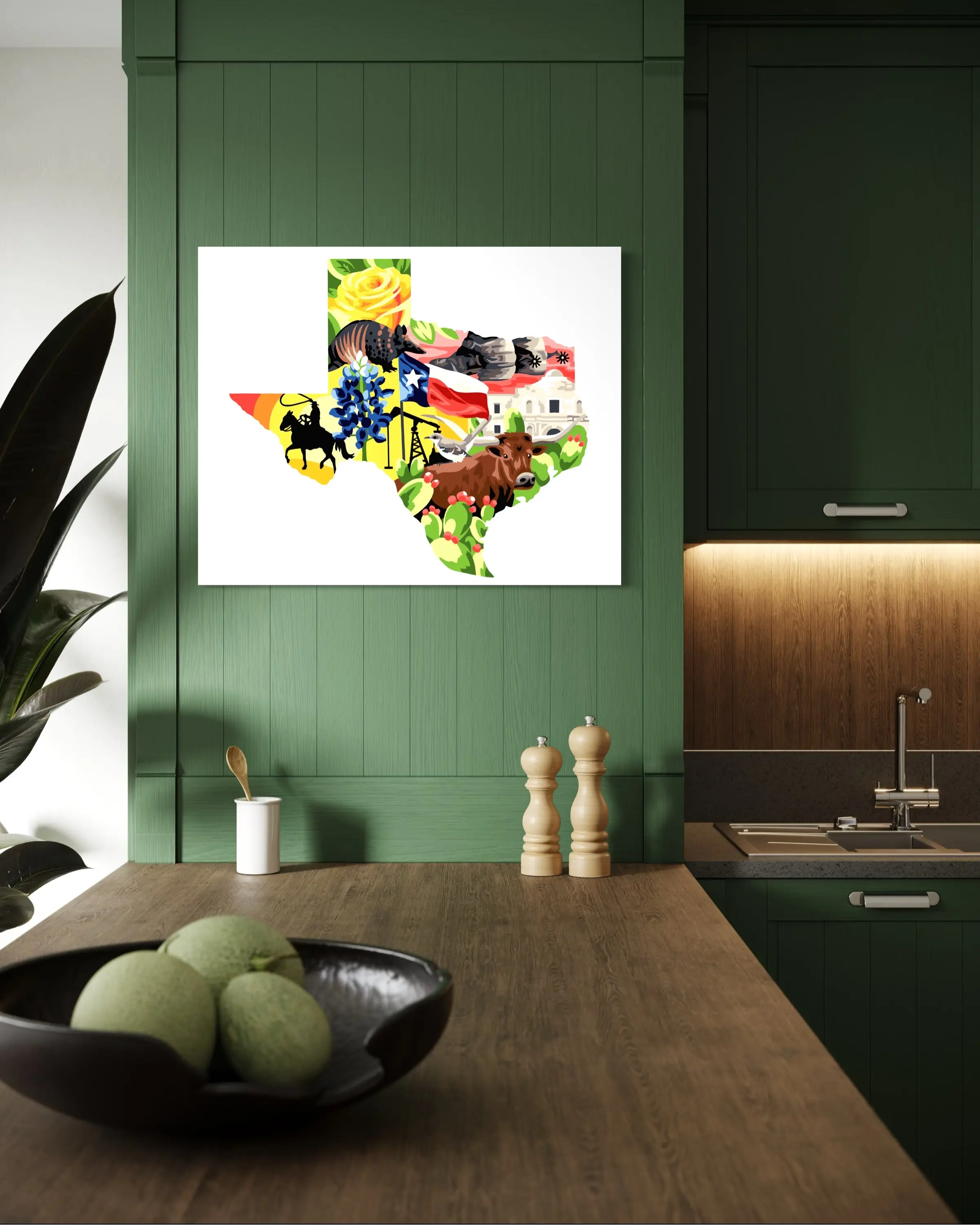 Texas Paint by Number Kit