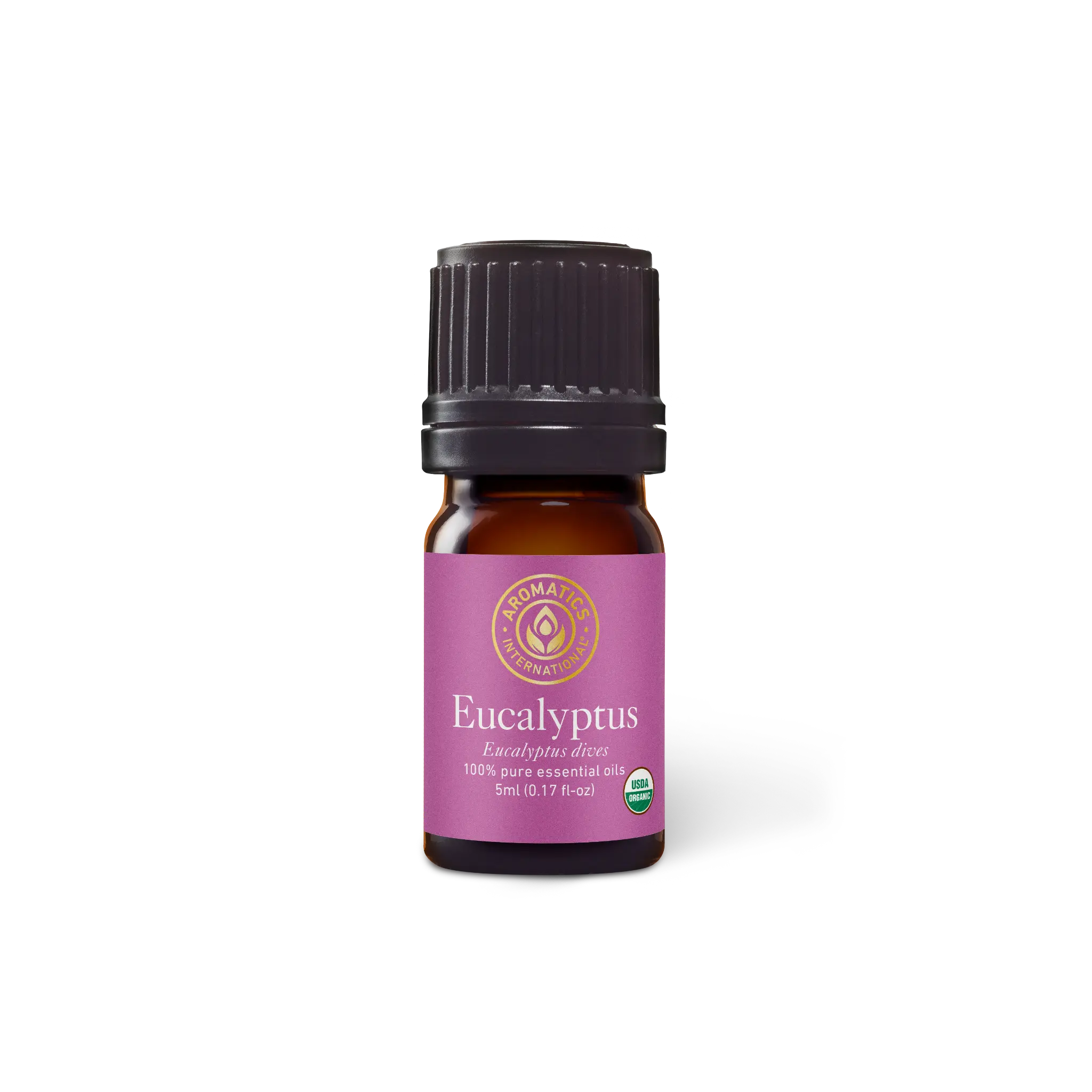 Organic Eucalyptus Dives Essential Oil for Therapeutic Treatment Aromatherapy Wellness Solution