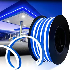 LED Neon Strip Light 120LEDs/M Flexible Waterproof Blue Neon Rope Lights for Indoor Outdoor Home Decor Commercial Building