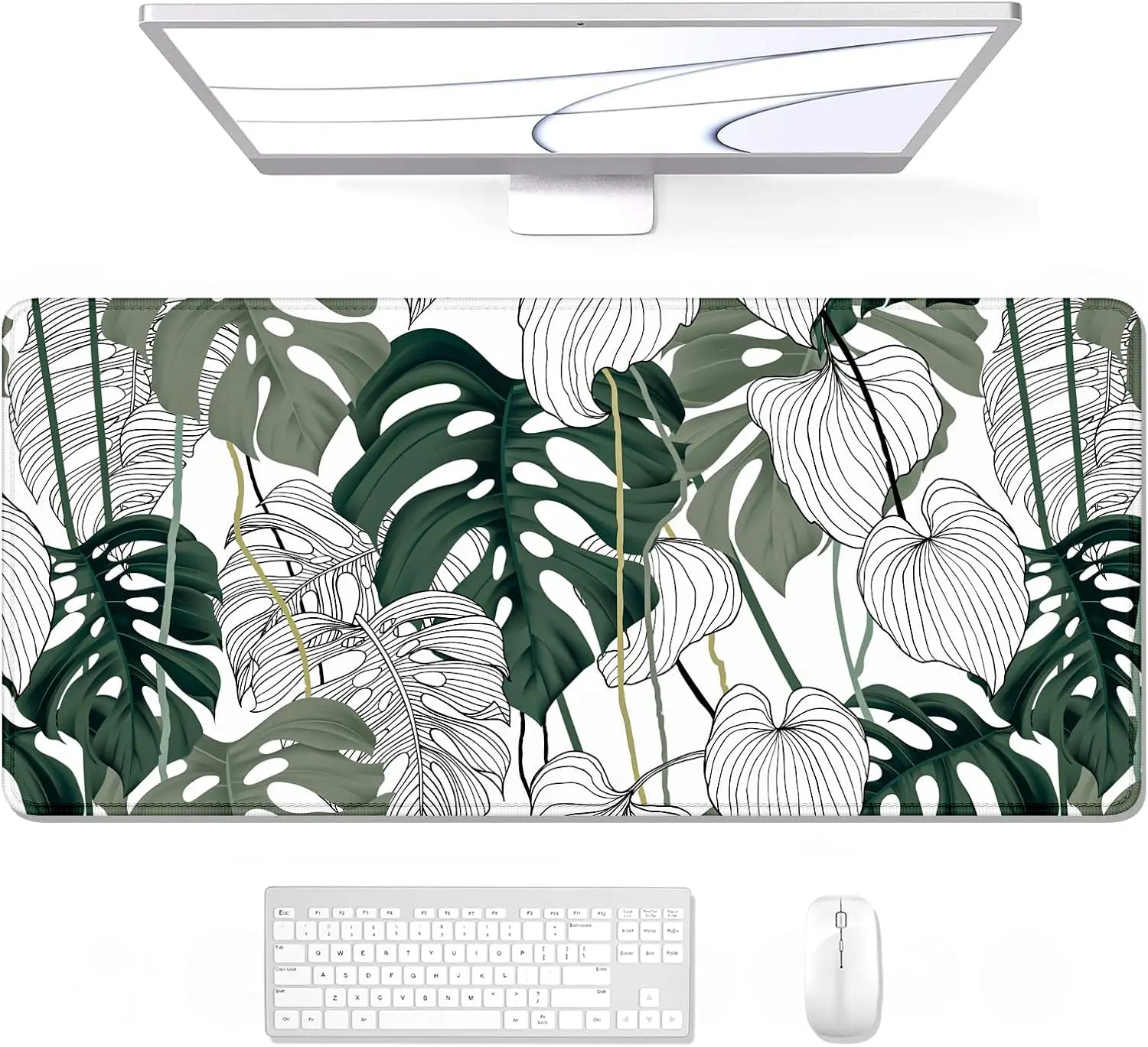 17 Abstract Tropical Leaves