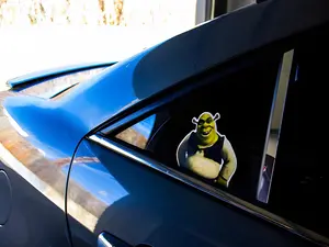Shrek Peeker