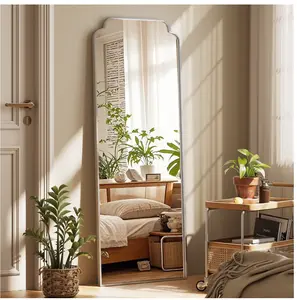 21"x64" Arched Floor Mirror with Curved Top Modern Decorative Full Length Mirror with Deep Frame, Silver