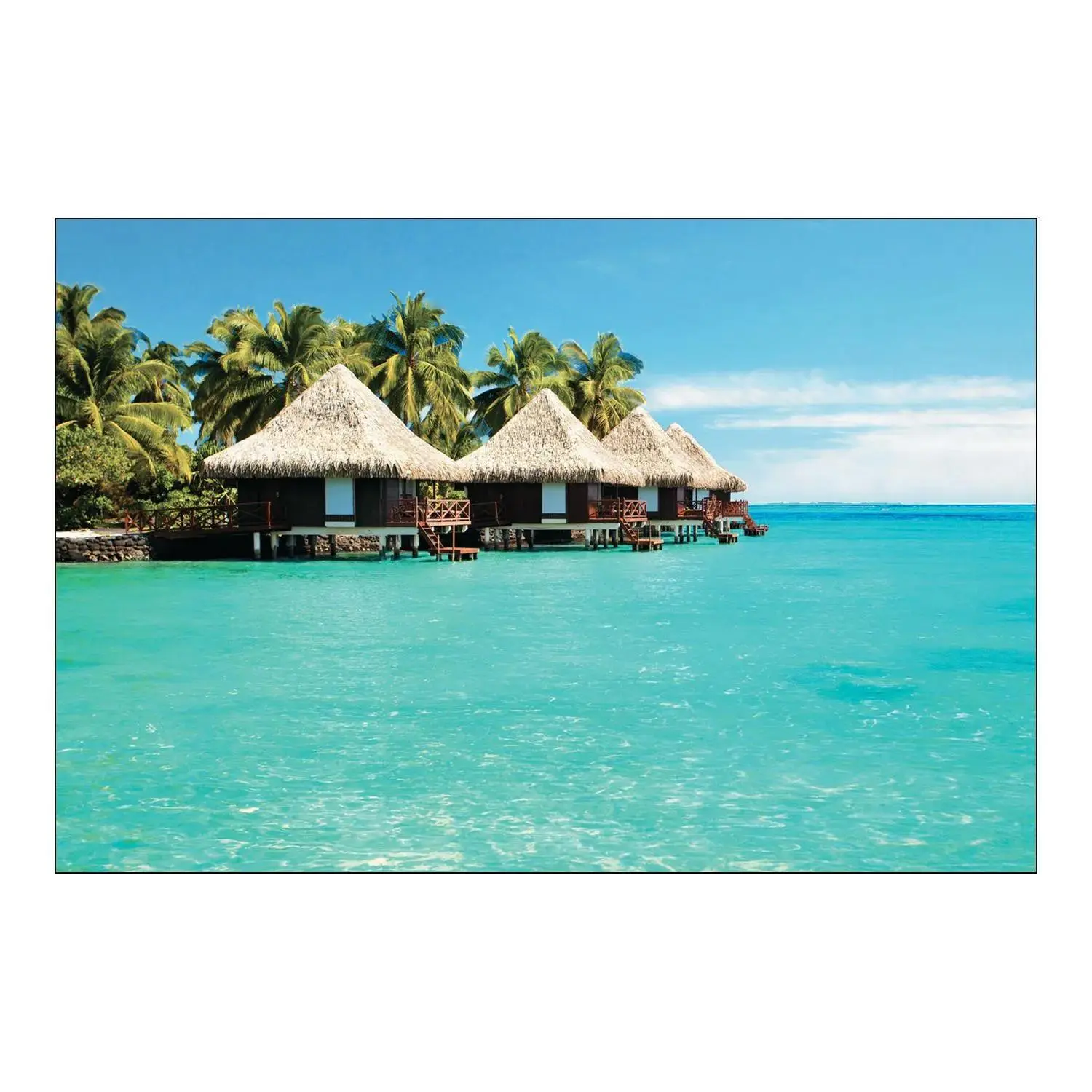Baby & Maternity Party Decorations Banner Set - 3-Pc Tropical Cabana Photo Backdrop, Wall Decor