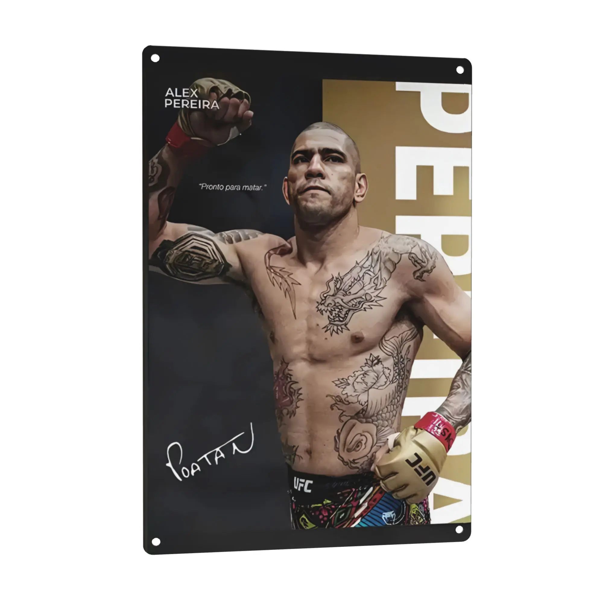 8x12 In UFC Alex Pereira "Poatan" Metal Sign - MMA Champion Aluminum Wall Plaque, Motivation Gym Decor, Gift for UFC Fans