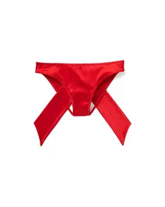 Gynger Bikini Dark Red Plus Panty