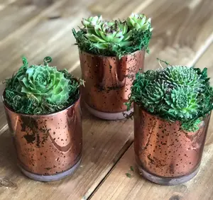 Rose Gold Mercury Glass Succulent Planter Arrangement Wedding Shower Favor Table Scape Decor Birthday Party Teacher Gift Gift for Her