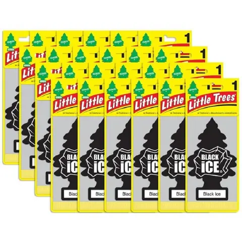 Little Trees Black Ice Paper-Made Eco Car Air Freshener - 24-Pack Supply, Crisp Woody & Cool Water Aroma, 12-Month Life, Hang-On Mirror, Made in USA, Car Odor Eliminator, Smoke Odor Remover