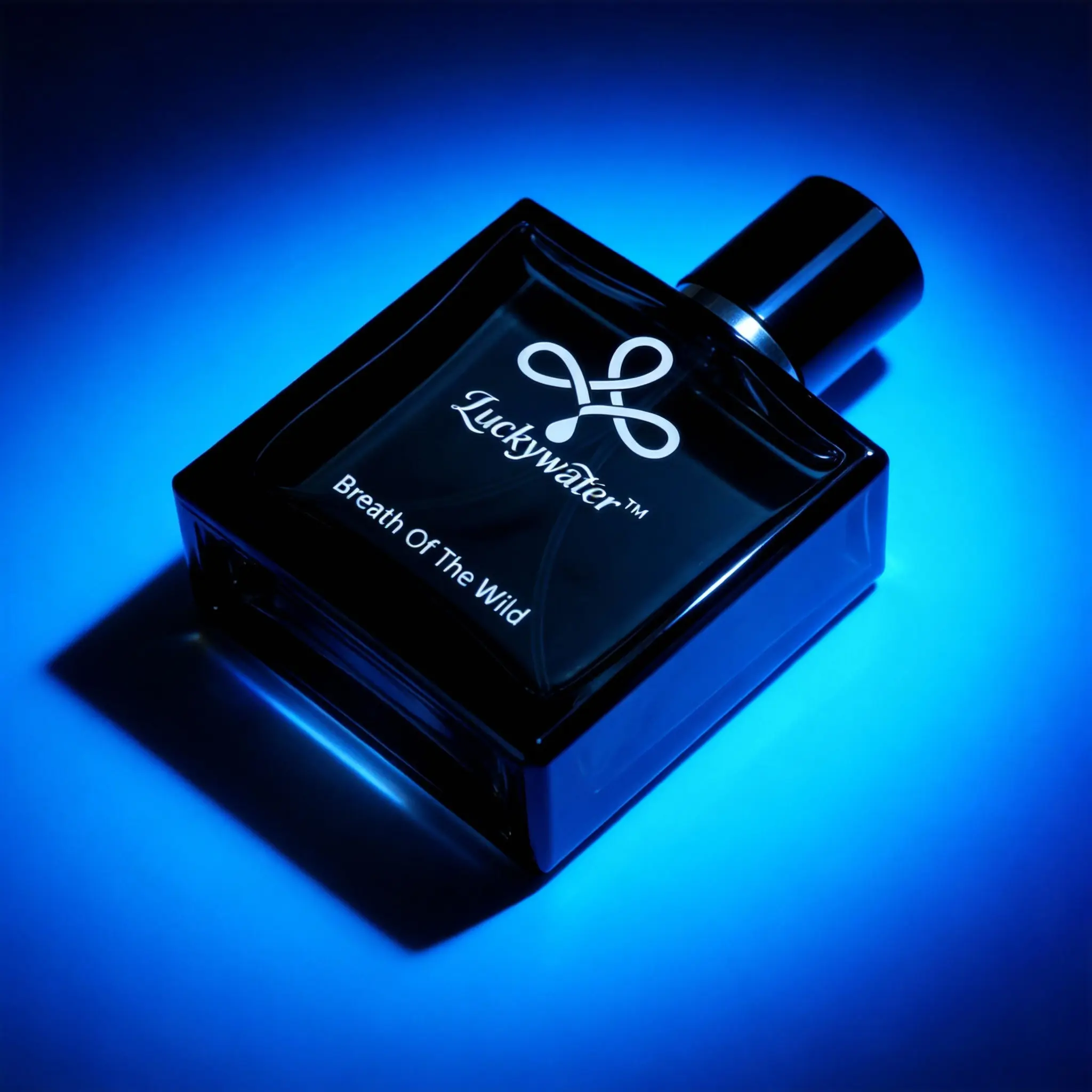 Long Lasting Perfume for Men 1.7 Fl Oz – Fresh Fougere Scent with Bergamot & Lavender – Clean & Invigorating – Ideal for Office, Brunch, Beach Day, Travel | perfumes for men | perfume para hombres | cologne for men | long lasting  powerful fragrance