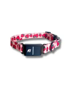 Peached Pups Strawberry Fields Fi Compatible Dog Collar with Real Time Location Tracking & Geofencing for Safe Adventures