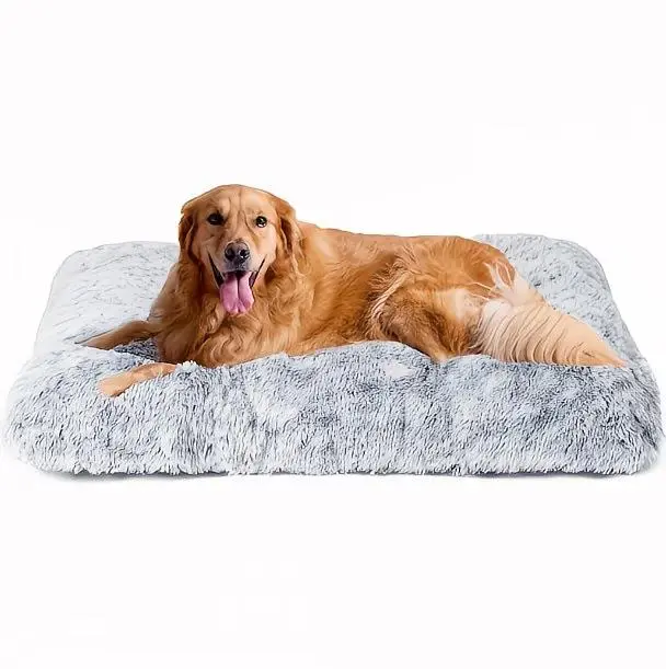 Thick Warm Plush Dog Bed for Small Dogs - Washable Soft Fleece Pet Cushion Mat for Puppies & Small Breeds - Indoor Cozy Bedding