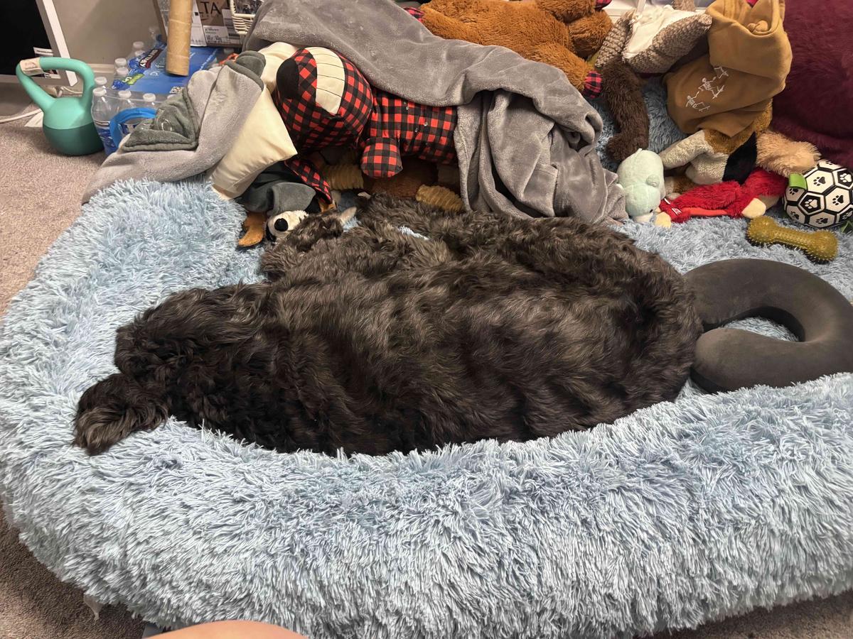 Item: 3-in-1 Flexible Baby Blue(68x44x12)