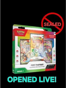 First Partner Illustration Collection (Series 1) - First Partner Collection 2026