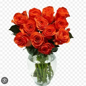 Orange Flower 1 Dozen Rose Decoration - Long-Lasting Home Decor or Gift