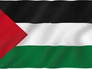 Fly Breeze 3x5 Foot Palestine Flag - Vivid Color and Fade proof - Canvas Header and Double Stitched - Palestinian Flags Polyester with Brass Grommets 3 X 5 Ft