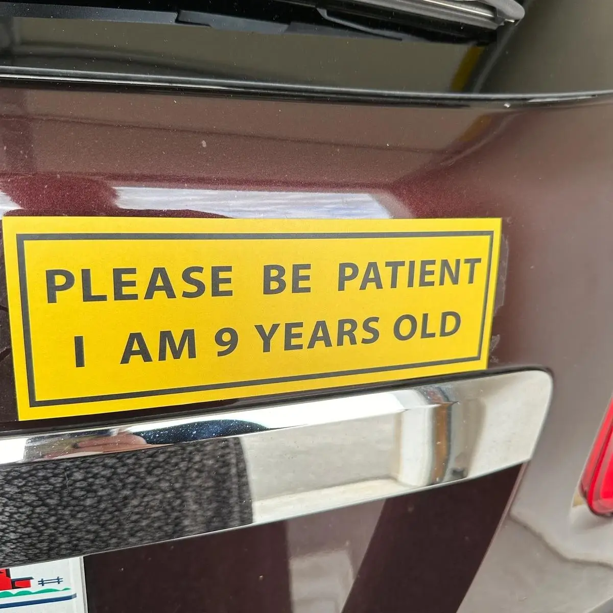 Please Be Patient, I Am 9 Years Old Car Bumper Sticker, Funny Car Decals for Car, Auto, Motorcar, Windows, Trucks, Laptop, Funny Gift for Friend, Car