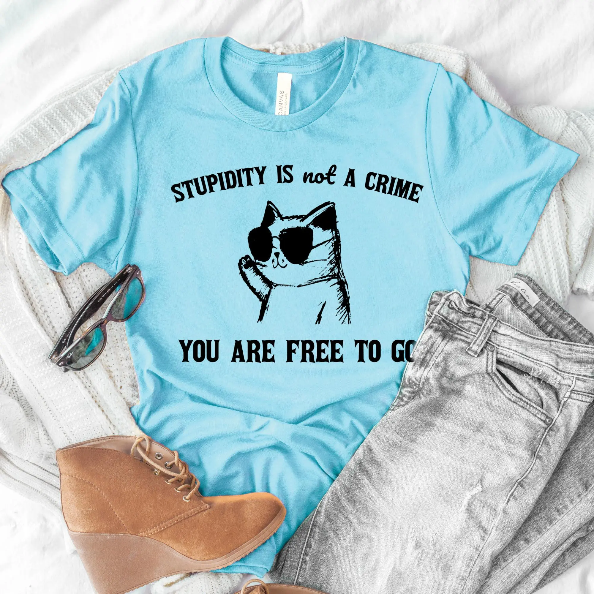 Sarcastic Tees Sarcastic Animal Tshirts Funny Animal T-Shirts Sarcastic Cat Tees Racoon Sarcastic Tshirts Womens Funny Tops