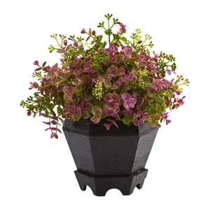 Sedum and Eucalyptus Plant with Planter by Nearly Natural