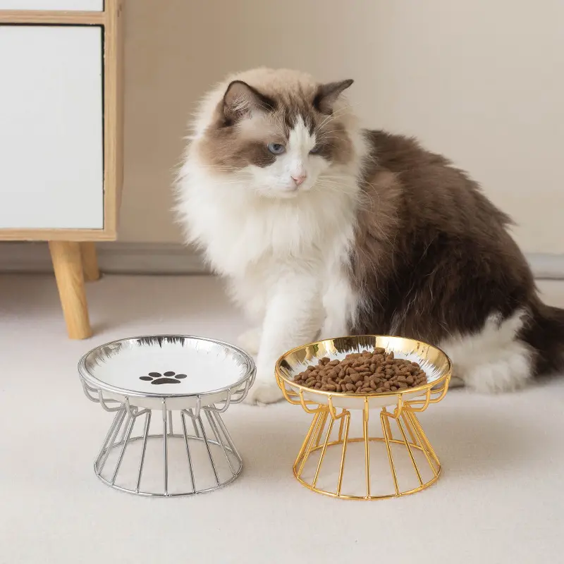 Cat Bowls, Elevated Cat Bowl, Raised Ceramic Dish with Metal Stand, Pet Water or Food Feeding Station for Indoor Cats, Kitten, Puppies and Small Dogs, Dishwasher Safe