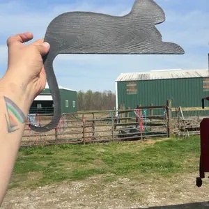 Cat door frame mount