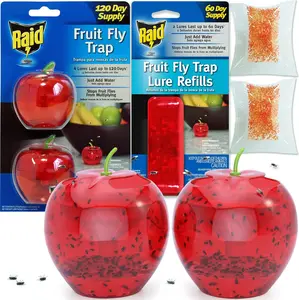 Fruit Fly Traps for Indoors by Raid | 2 Lures + 2 Refills | Effective Fruit Fly Killer & Gnat Traps for House Indoor Use | Easy to Use & Safe Food-Based Lure Fly Catcher