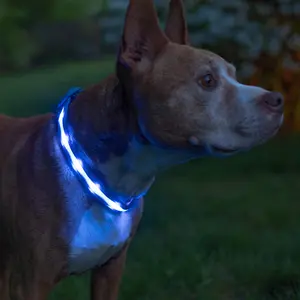 BLAZIN Brightest Light up Dog Collars - the Original LED Dog Collar with 1,000 Feet of Visibility - USB Rechargeable Waterproof Dog Collar Light - Dog Lights for Night Walking - USA Brand Blazin