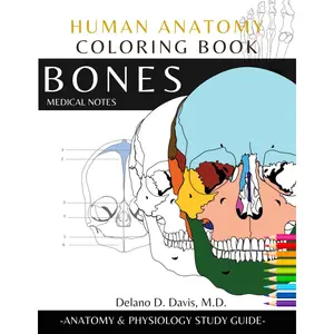 Human Anatomy Coloring Book: Bones. Medical Notes | Detailed illustrations | Learn the Skeletal System: Anatomy and Physiology Coloring Workbook with ... Nurses, Doctor and all lovers of Anatomy Paperback – June 16, 2022