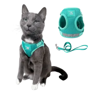 The Jackson Galaxy x Travel Cat Harness & Leash Set