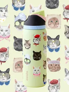 Owala FreeSip Insulated Water Bottle, 32oz (946ml), Stainless Steel (Cat Collage)