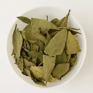 Loquat Leaf (Eriobotrya japonica) Hoja De Níspero - 2 oz