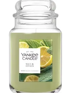 Yankee Candle Sage & Citrus Scented Classic 22oz Large Jar Single Wick Candle Over 110 Hours of Burn Time Ideal for Home Decor and Gifts