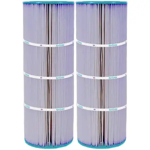 Hurricane 2 Pack HF7656-01P Platinum Purple Pool Filter Cartridge Replacement
