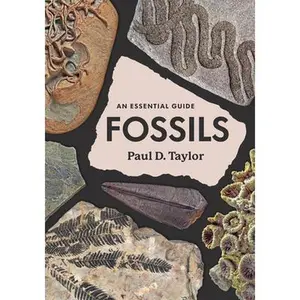 Fossils: An Essential Guide -- Paul D. Taylor, Hardcover