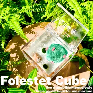 Cute Cube Terrarium with Marimo Moss Ball: Your Perfect Mini Garden, Low-Maintenance & Self-Sustaining Ecosystem, Complete Habitat Kit for Low Light Desks, Soothing Micro Landscape for Home & Office Focus (Includes LIVELY Moss Ball Pet)