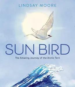 Sun Bird: The Amazing Journey of the Arctic Tern by Lindsay Moore||Lindsay Moore [Hardback Book]