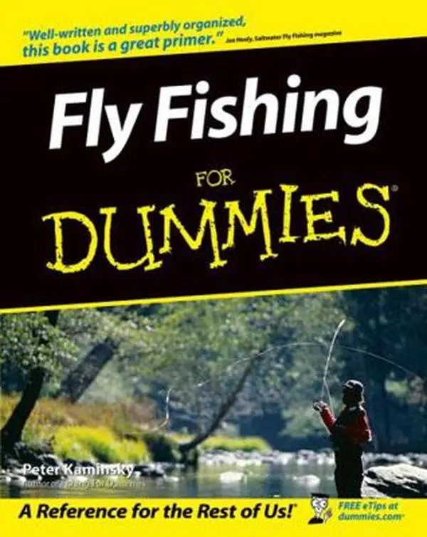 USED Book - Fly Fishing for Dummies by Kaminsky, Peter (Paperback) - english