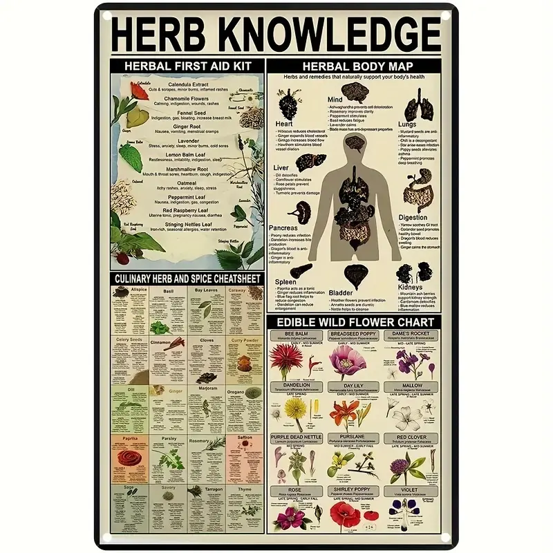 1PC, Herb Knowledge Aluminum Sign (8''x12''/20cm*30cm)Metal Sign, Herbal First Aid Kit Infographic Poster Pharmacist Study Guide Tin Plaque Home Pharmacy Office Kitchen Wall Decor