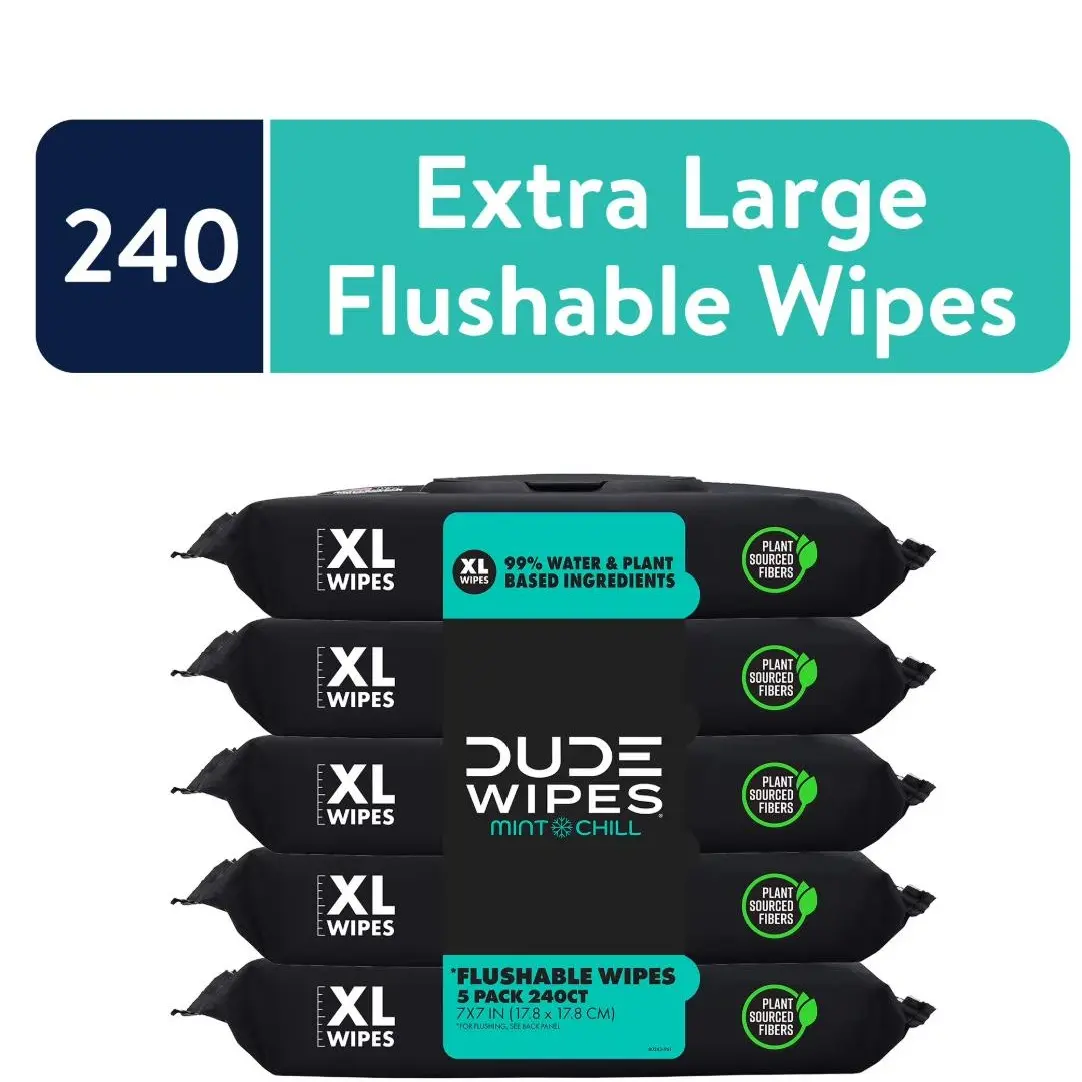 Choose Your Scent | DUDE Paper Flushable Wipes, XL Wet Toilet Wipes,Extra Large Mint Chill Wet Wipes, 48 Count, 5 Pack (240 Total) extra-large adult wet